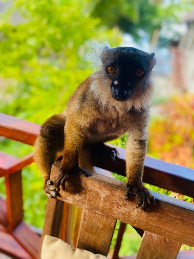 Tamarin Lodge Ampangorinana Exteriör bild