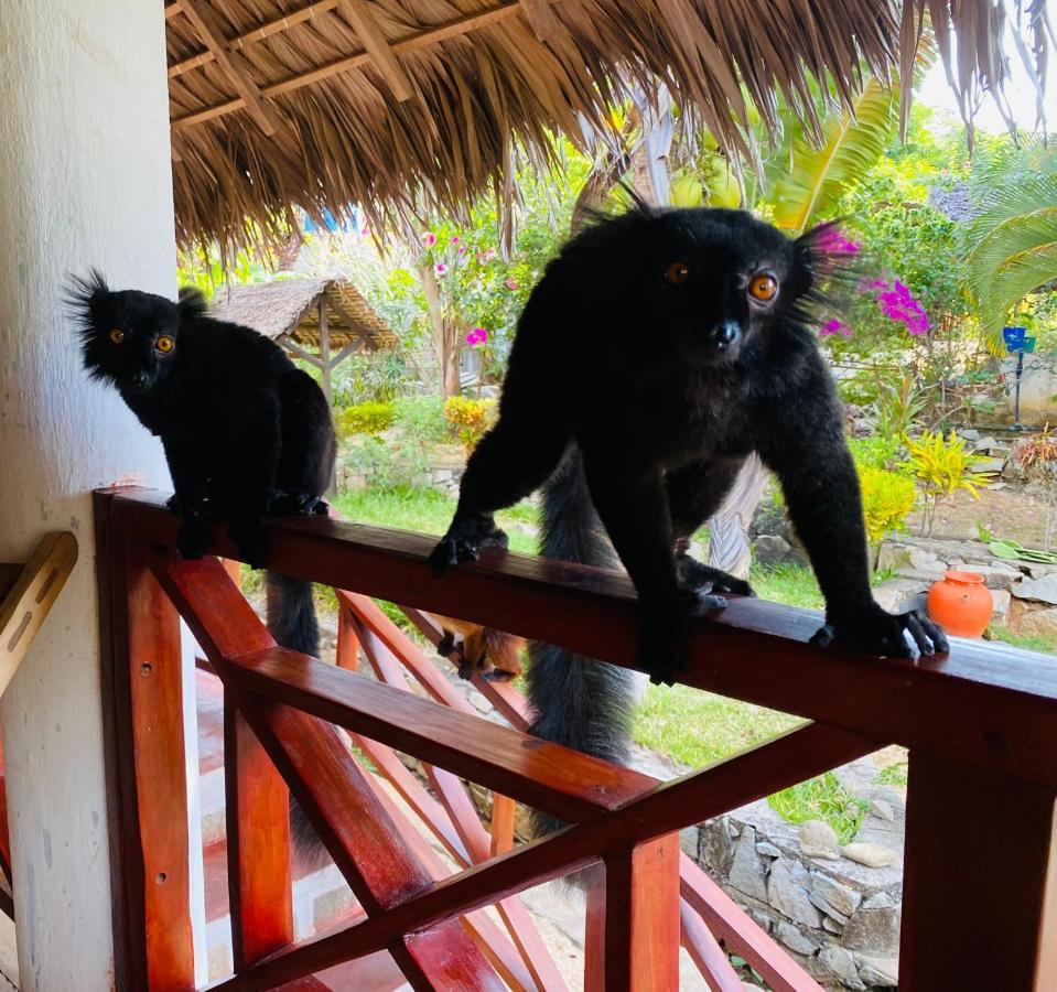 Tamarin Lodge Ampangorinana Exteriör bild