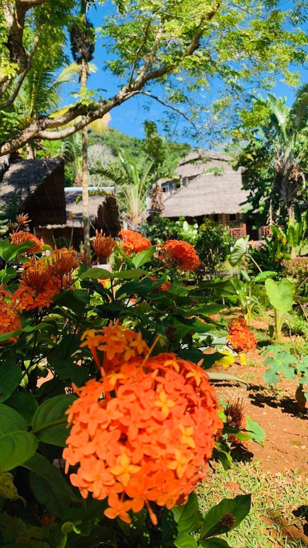 Tamarin Lodge Ampangorinana Exteriör bild