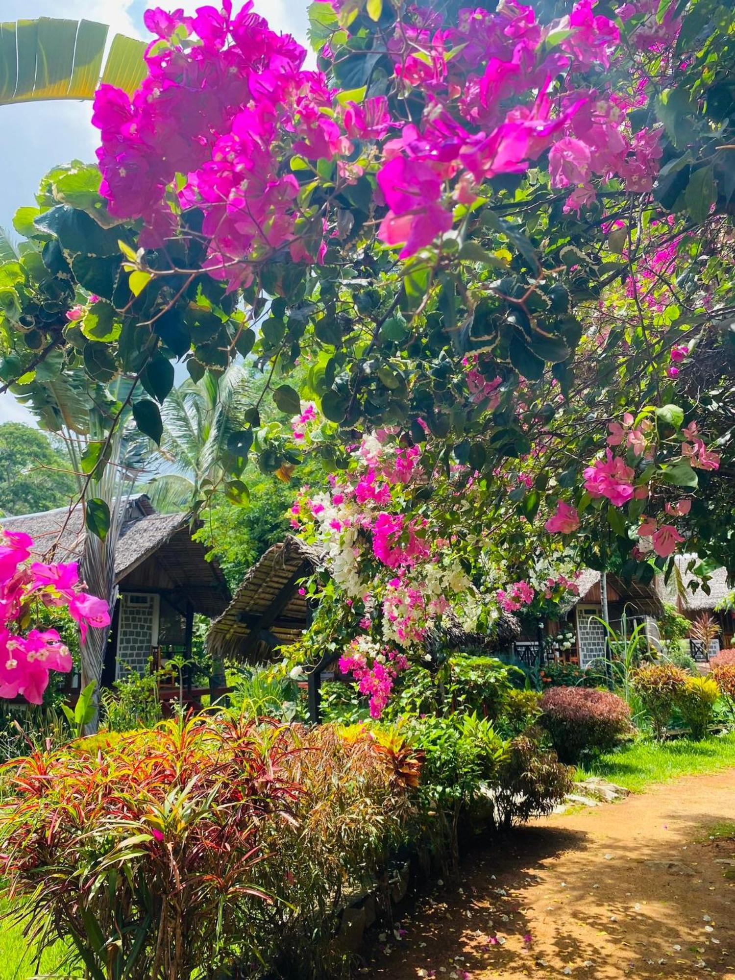 Tamarin Lodge Ampangorinana Exteriör bild
