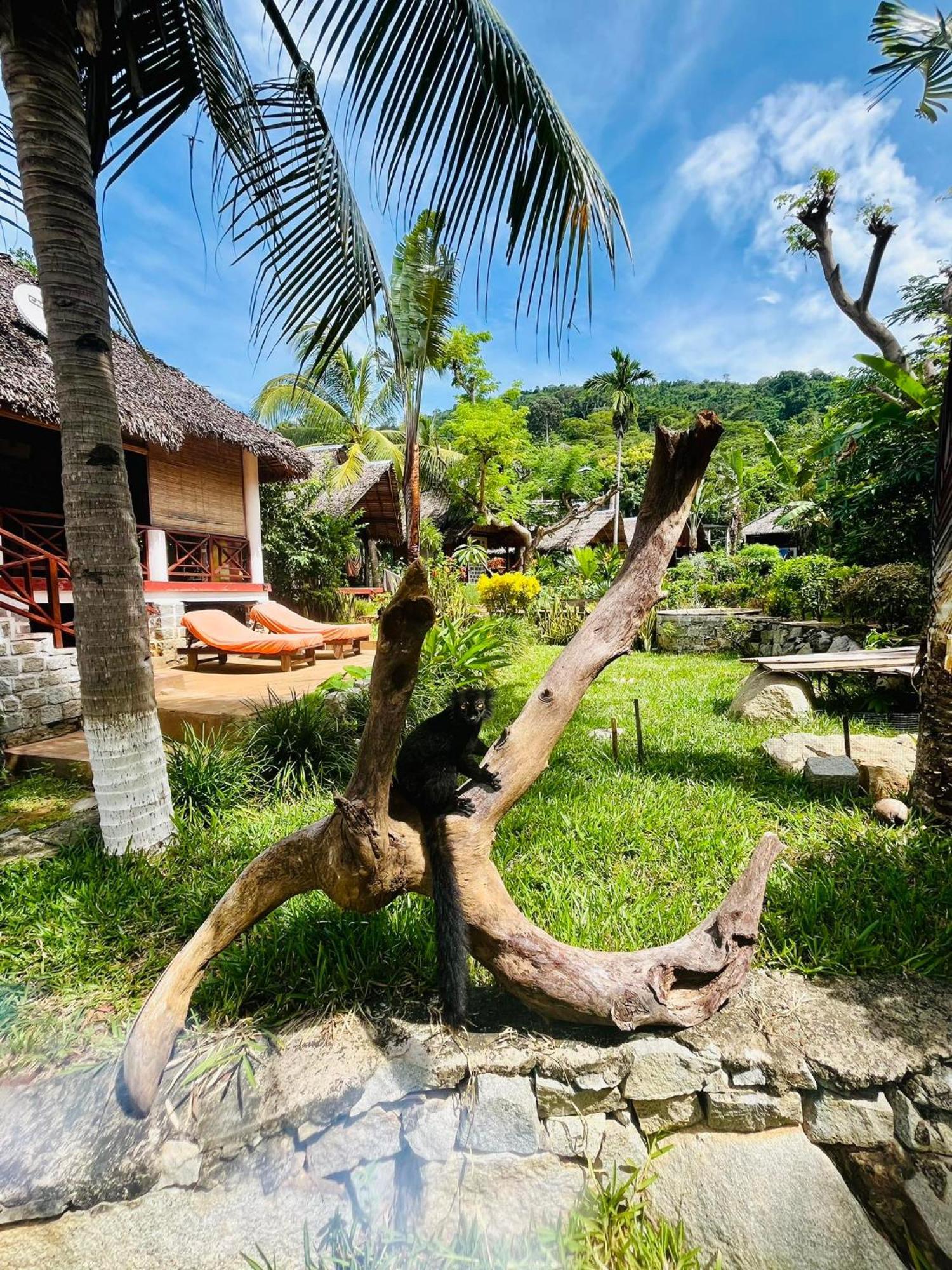 Tamarin Lodge Ampangorinana Exteriör bild